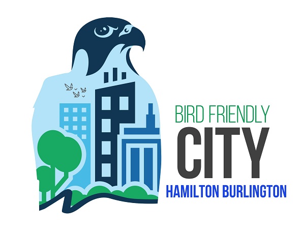 BurlingtonGreen's tweet photo. We did it!π Thank you to everyone that took action to make #BurlON & Hamilton Bird Friendly cities!π¦
Find out what this means, what you can do to continue helping to save birds' lives and more here β‘οΈ https://t.co/UvOHGROAlm
#NatureFriendlyBurlington https://t.co/CZG6RvLhPE