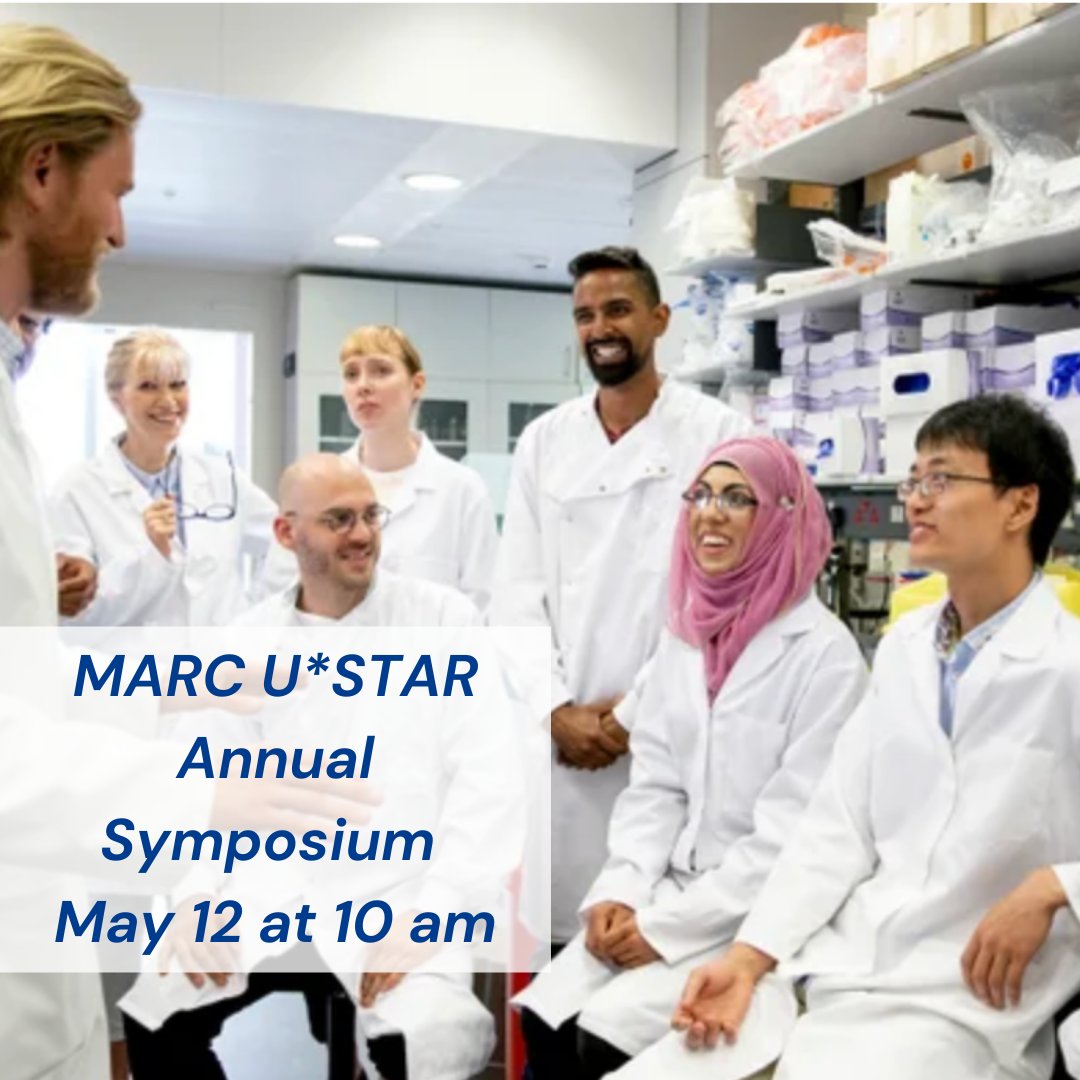 uricels's tweet photo. Attend the @URI_MARC_USTAR Annual Symposium on 5/12 @10am to learn more about how this program supports undergraduates from underrepresented backgrounds &amp; helps with the diversification of the nation’s scientific workforce🧑‍🔬

https://t.co/qSOU5V0sih 

#URI #CELS #URIMARCUSTAR https://t.co/8dcIUSkt41