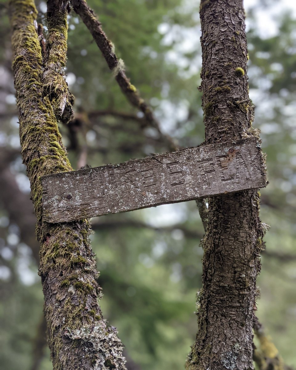 Modularacks's tweet photo. Our world has plenty of little hidden gems, we just have to stop and take a moment to look for them!
-
#trails #nature #mountians #trees #camping #adventure #pnw #forest #camp #details #leavenothingbehind #doorsteptodestination #modularacks #roadtrip #outdoors #outdoor https://t.co/I0wp5prPeM