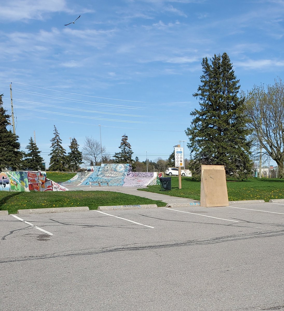 MurdockBig's tweet photo. Does anyone from the Parks Department from @TownofWhitby ever do any clean up at the Iroquois Sports Center "skateboard park"? https://t.co/9O69yV2GXR