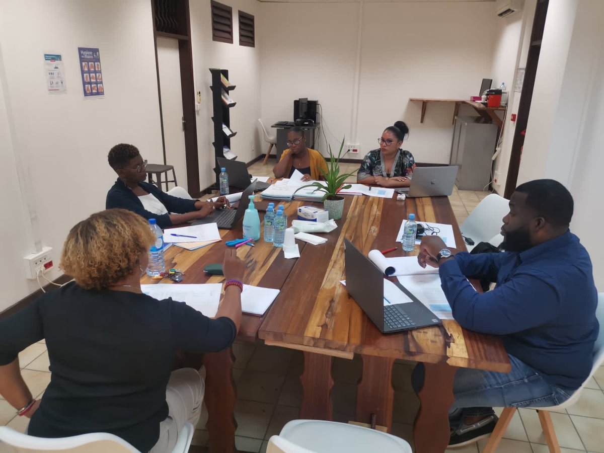 PLIE973's tweet photo. Aujourd'hui s'est tenue la CISP du PLIE. Réunion de travail avec la Mission locale pour l'intégration et la sortie des publics. @Prefet973 @CTdeGuyane @AVEmploi @CACL_GUYANE @FSE_nat @GabrielServille @Apeig973  #guyane #insertionprofessionnelle https://t.co/mPjy6s1I7X