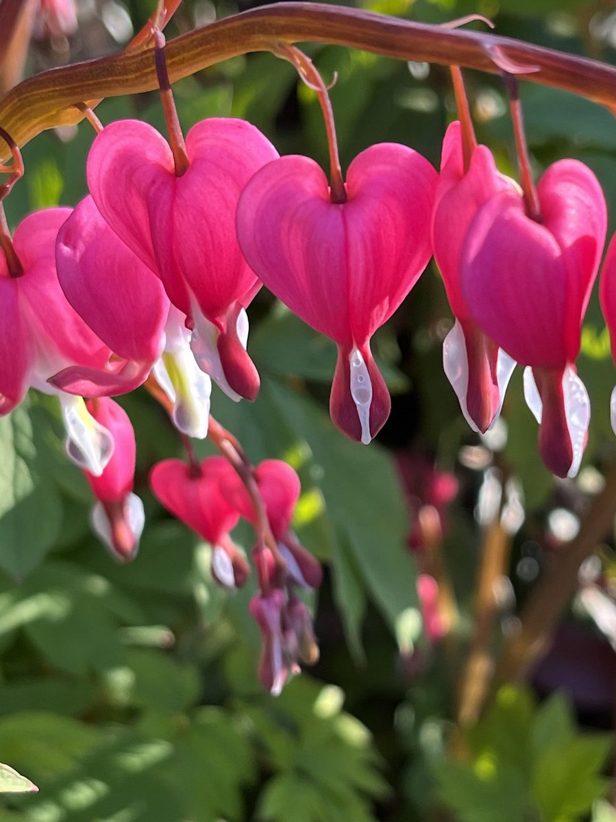 plisder's tweet image. #MayPatternChallenge