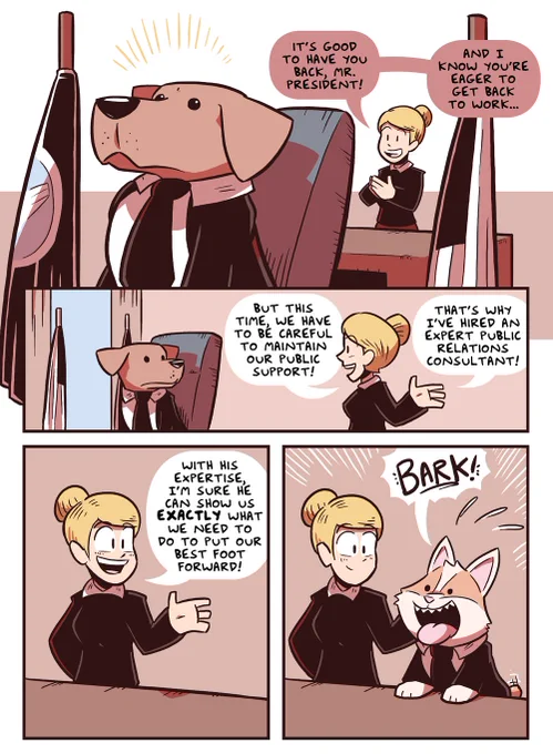 President Dog meets Baker the Corgi 