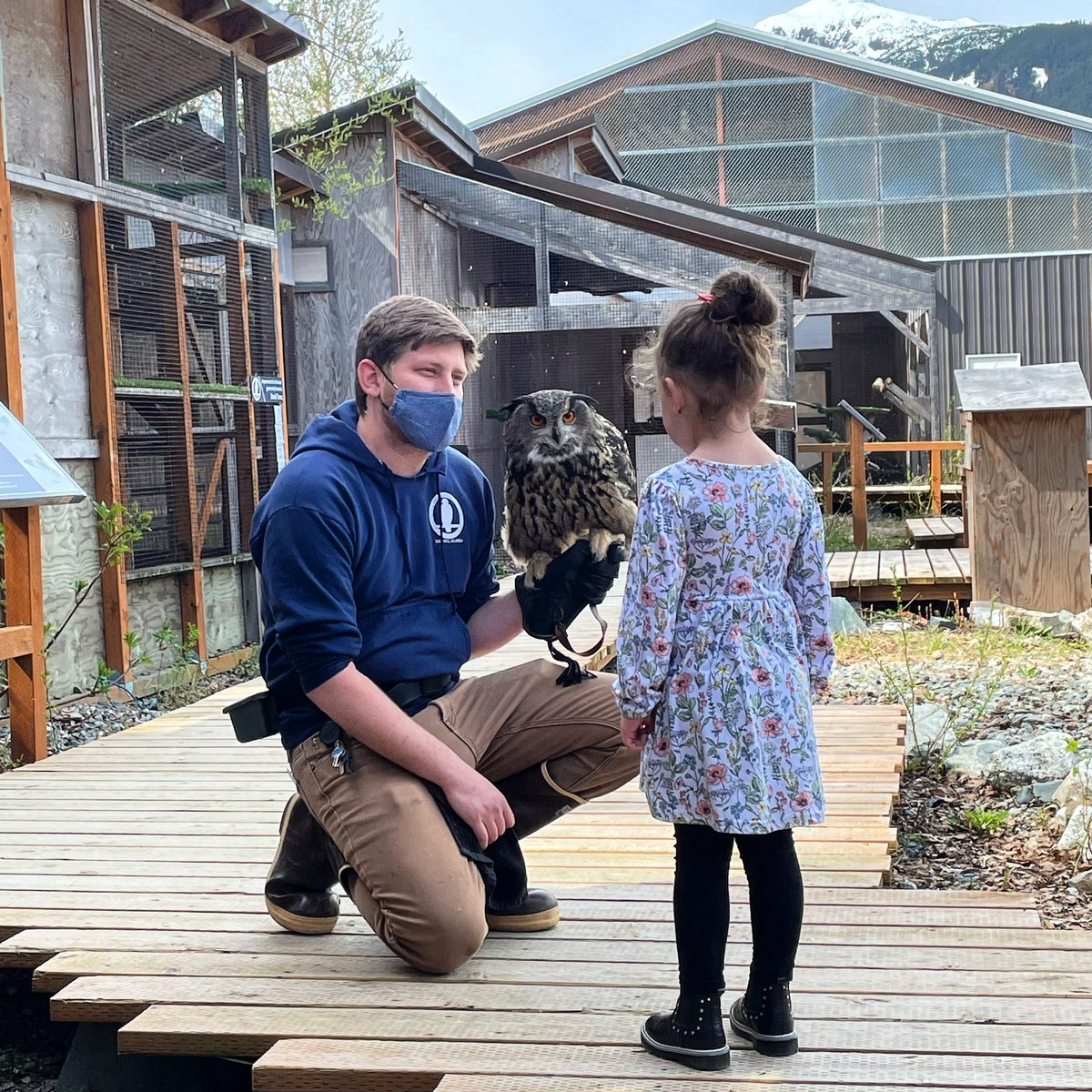 American Bald Eagle Foundation tweet media