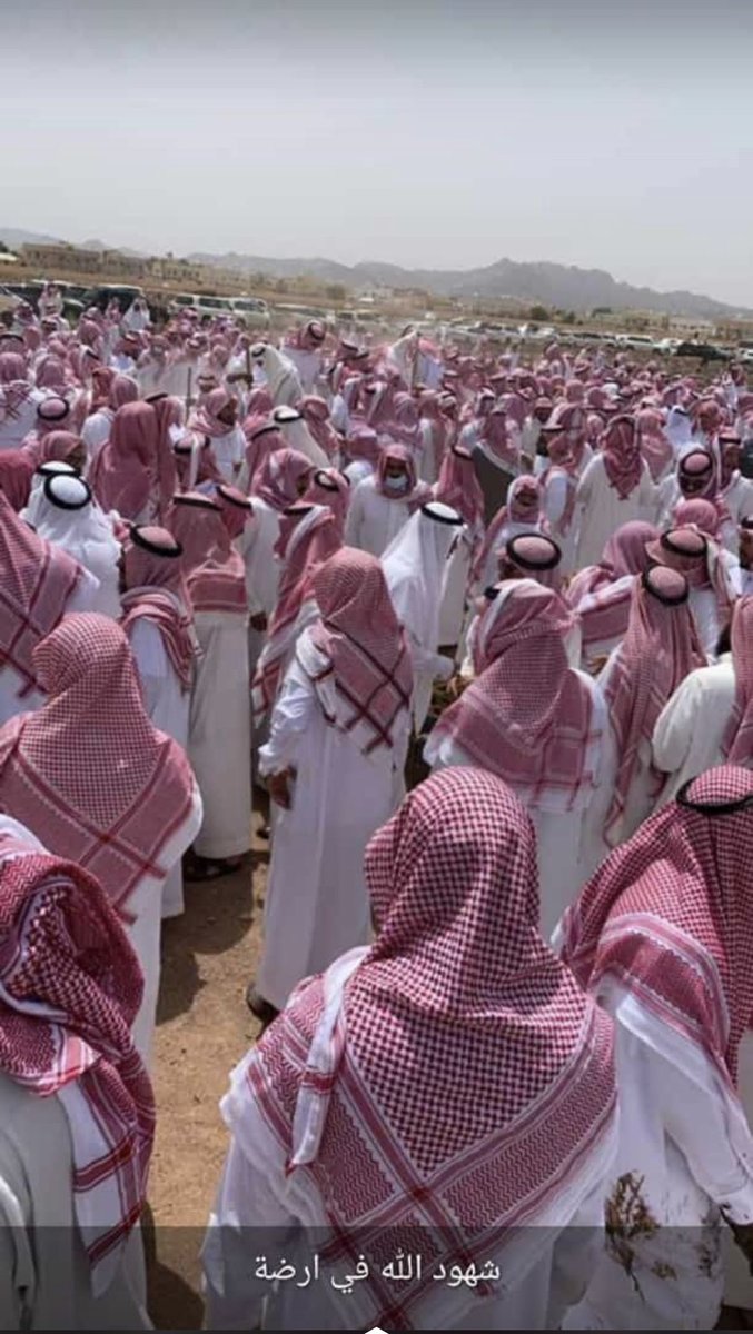 ايمي tweet media