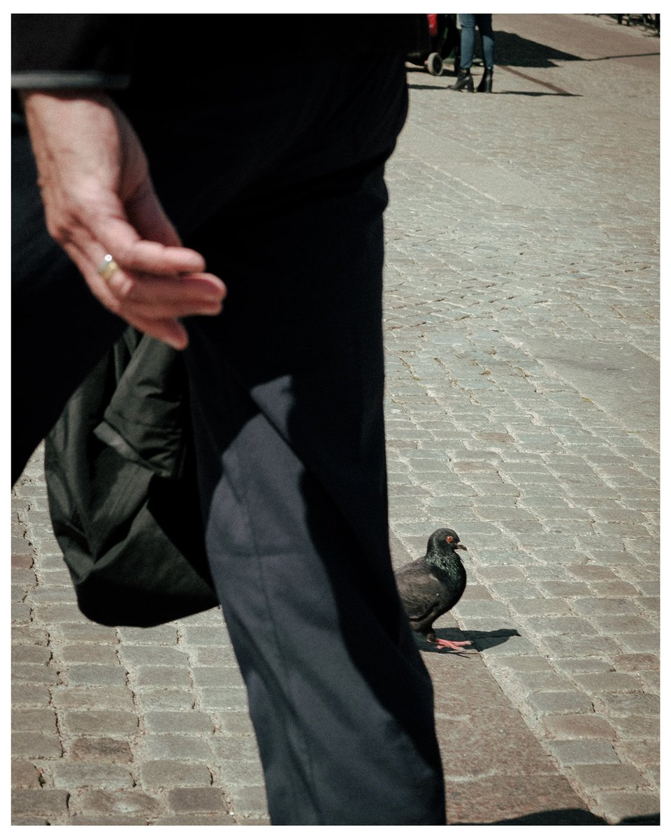 HellstenPhoto's tweet image. Moments | Malmö, 2022