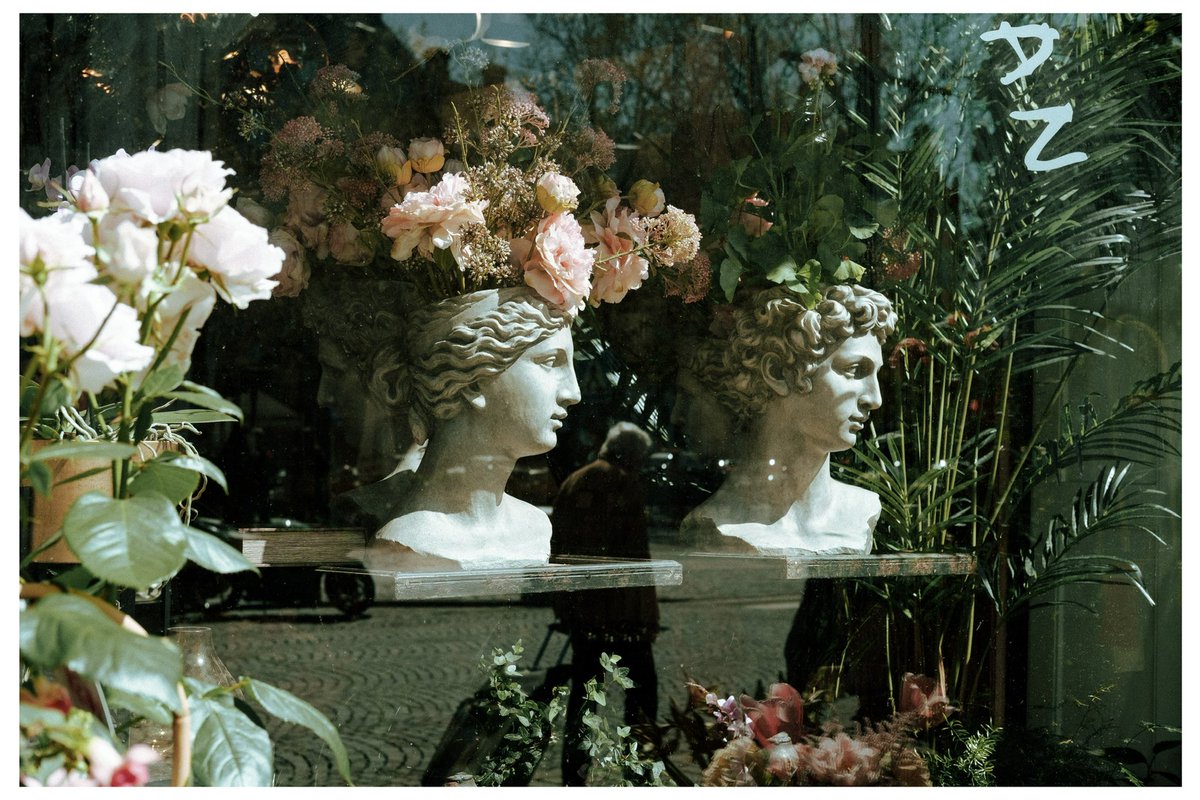 HellstenPhoto's tweet image. Moments | Malmö, 2022