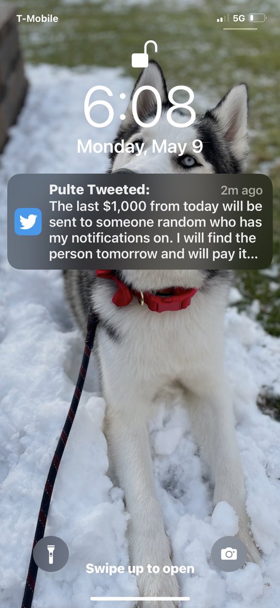 CrystalFox95's tweet photo. @pulte $CrysFox95 https://t.co/KbGig9lyZK