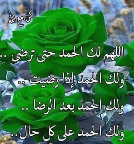 Yassmin_aHmed1's tweet photo. اللهم إننا نسألك النور في أبصارنا، والبصيرة في عقولنا، واليقين في قلوبنا، والاخلاص في اعمالنا، والنقاء في انفسنا، والسعة في رزقنا، والصحة في ابداننا، 
ونحمدك يا الله ونشكرك علي ما انعمت به علينا، وارزقنا الجنة من غير حساب ولا سابق عذاب. https://t.co/wTdvrLDBoT