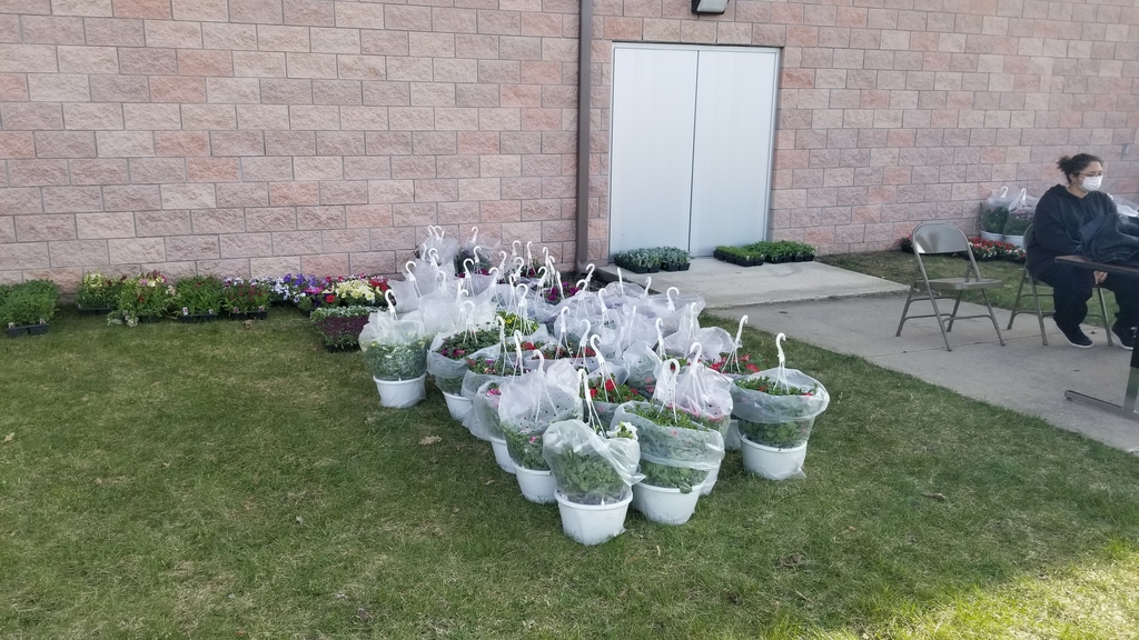 AlconaTigers's tweet photo. We are here at Alcona High School selling flowers until 8 pm tonight.  Come get some! https://t.co/fiANaDyUBp