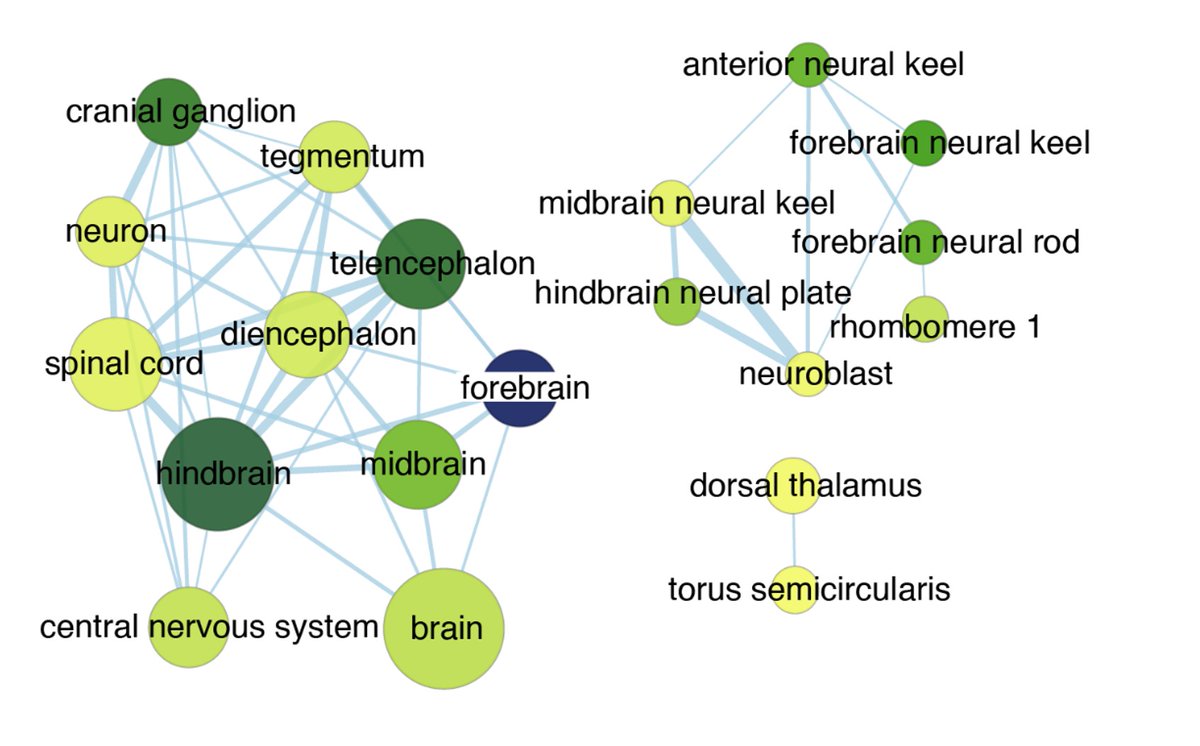 Karin Tuschl tweet media