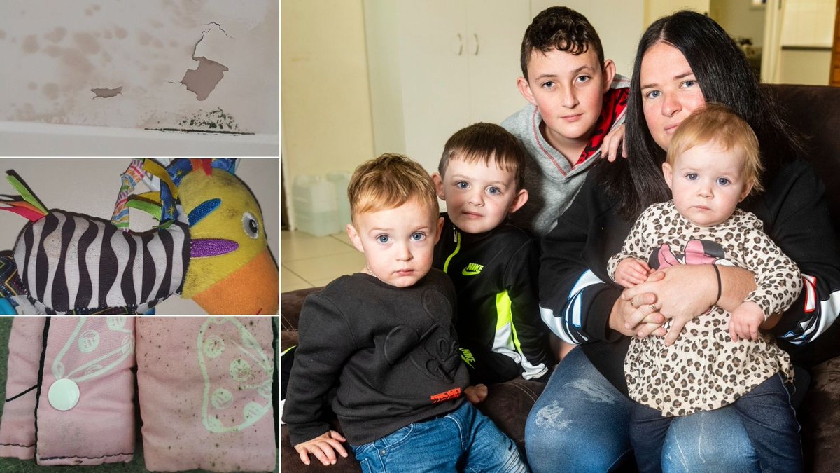 MorganJBurley's tweet photo. A pregnant Toowoomba mum has made a desperate plea for help amid growing concerns for her children's health from a potentially deadly rental crisis.
Find out more 👉https://t.co/AwbukocqUu
#Rentalcrisis #Toowoombahousing #Chronicle #Frontpage #Newcorp #rentalnightmare https://t.co/xdEyKJqw6j