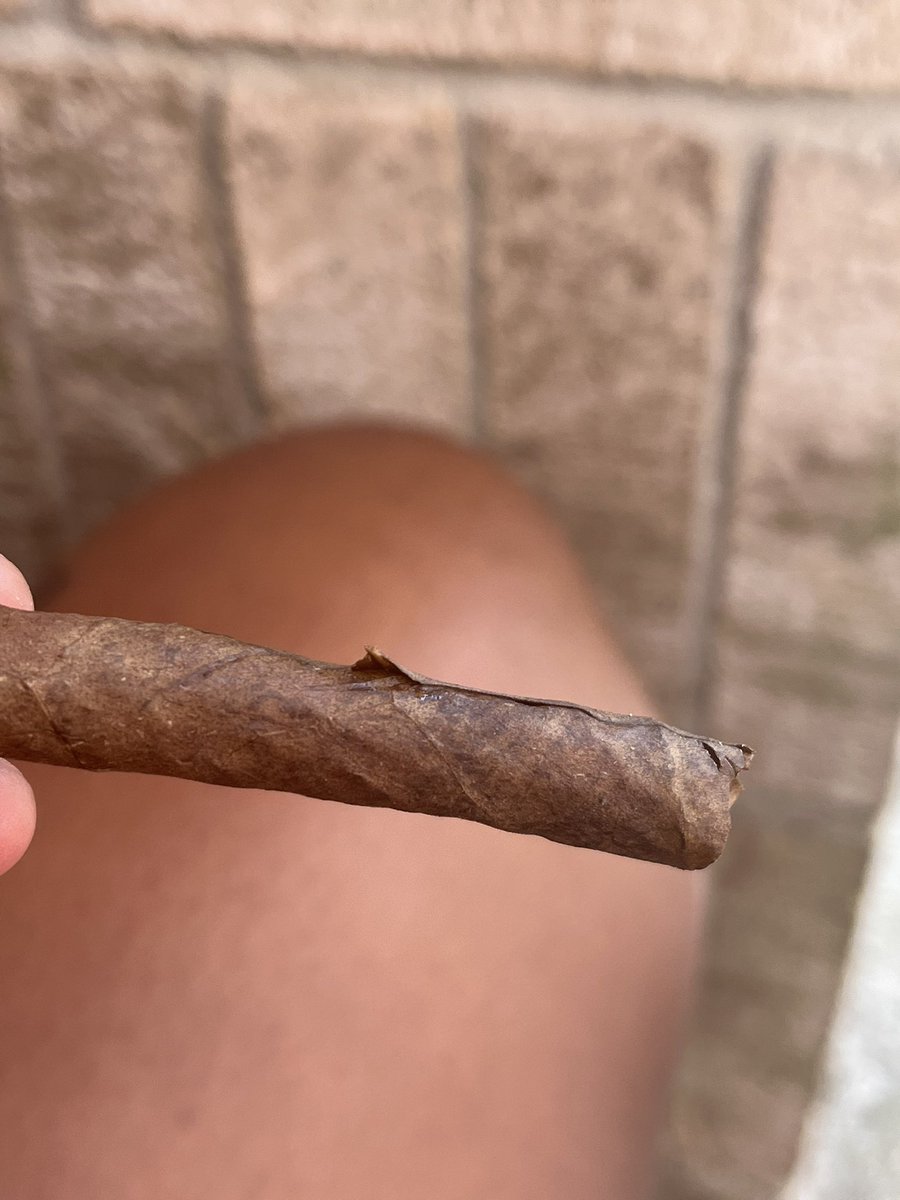 gmgbrazy's tweet photo. when yall roll leaves how y’all be getting the stem to stay down or y’all jus don’t be gaf? https://t.co/7eWXpLFHsN
