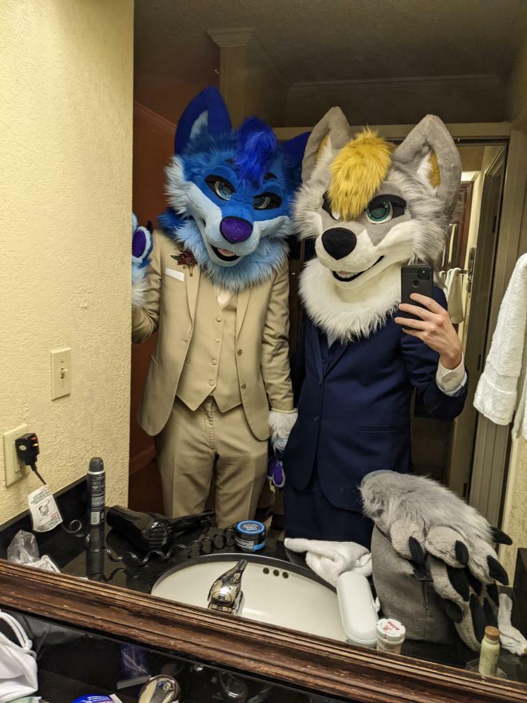 Suitchees (Tienda Furry) tweet media