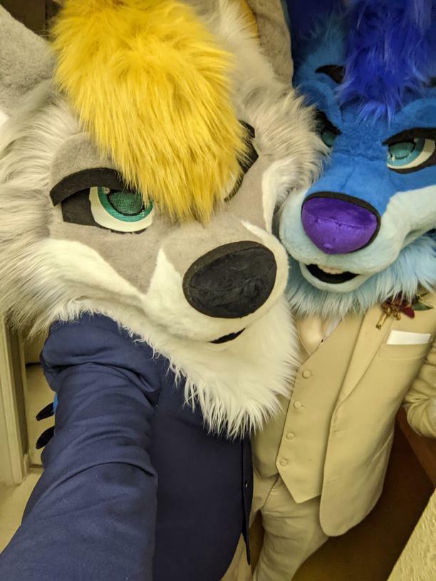 Suitchees (Tienda Furry) tweet media