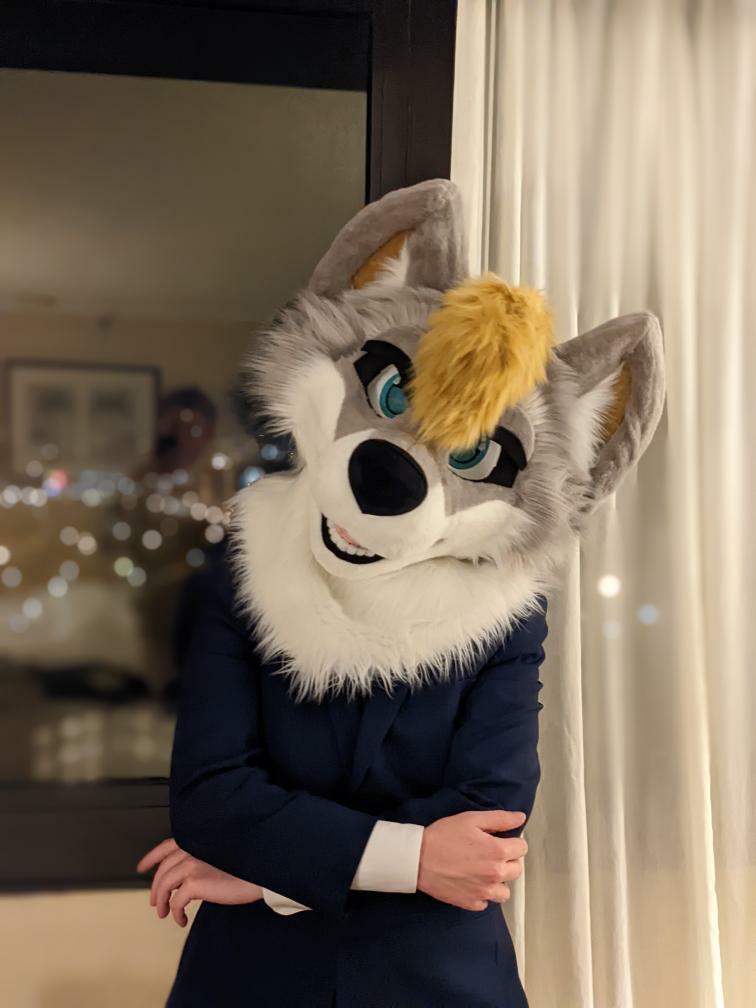 Suitchees (Tienda Furry) tweet media