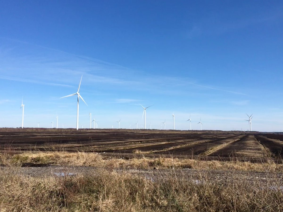 clairemoranphd's tweet photo. @PaulaPNolan The bogs and the amazing wind farms. This is Mountlucas windfarm where you can see for miles across the bog. https://t.co/WX8za3qm4I