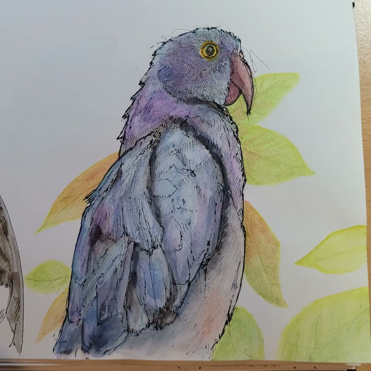 DavidsArtHowse's tweet photo. The result of my first ever livestream on Twitch! 

I kept it pretty quiet as I wanted to do a small test run. It was a cool experience. Felt pretty natural! 

I'll be drawing every Monday from 7.30pm - 9.30pm. Might do some sporadic sessions during the week too! https://t.co/TkwNIWgG86