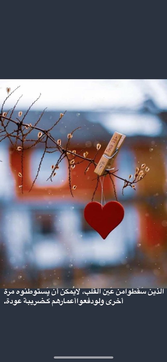 الشهد👑 tweet media