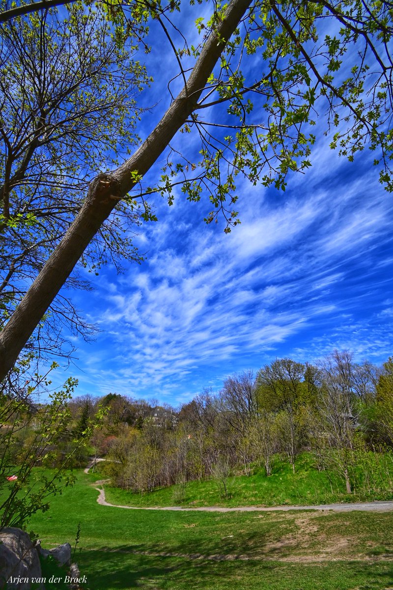 avanderbroek's tweet photo. View over the bowl in Cedarvale park #toronto #humewood #urban #park #landscapephotography #sky #clouds https://t.co/QYfDMwEdF5