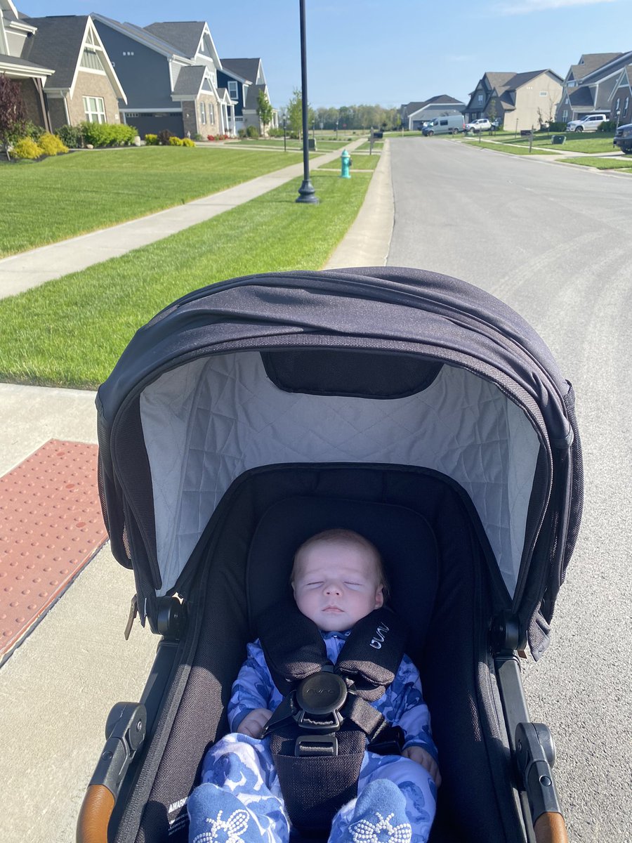 morgan_uit's tweet photo. finally some perfect walking (napping) weather https://t.co/dclMHBEdPF
