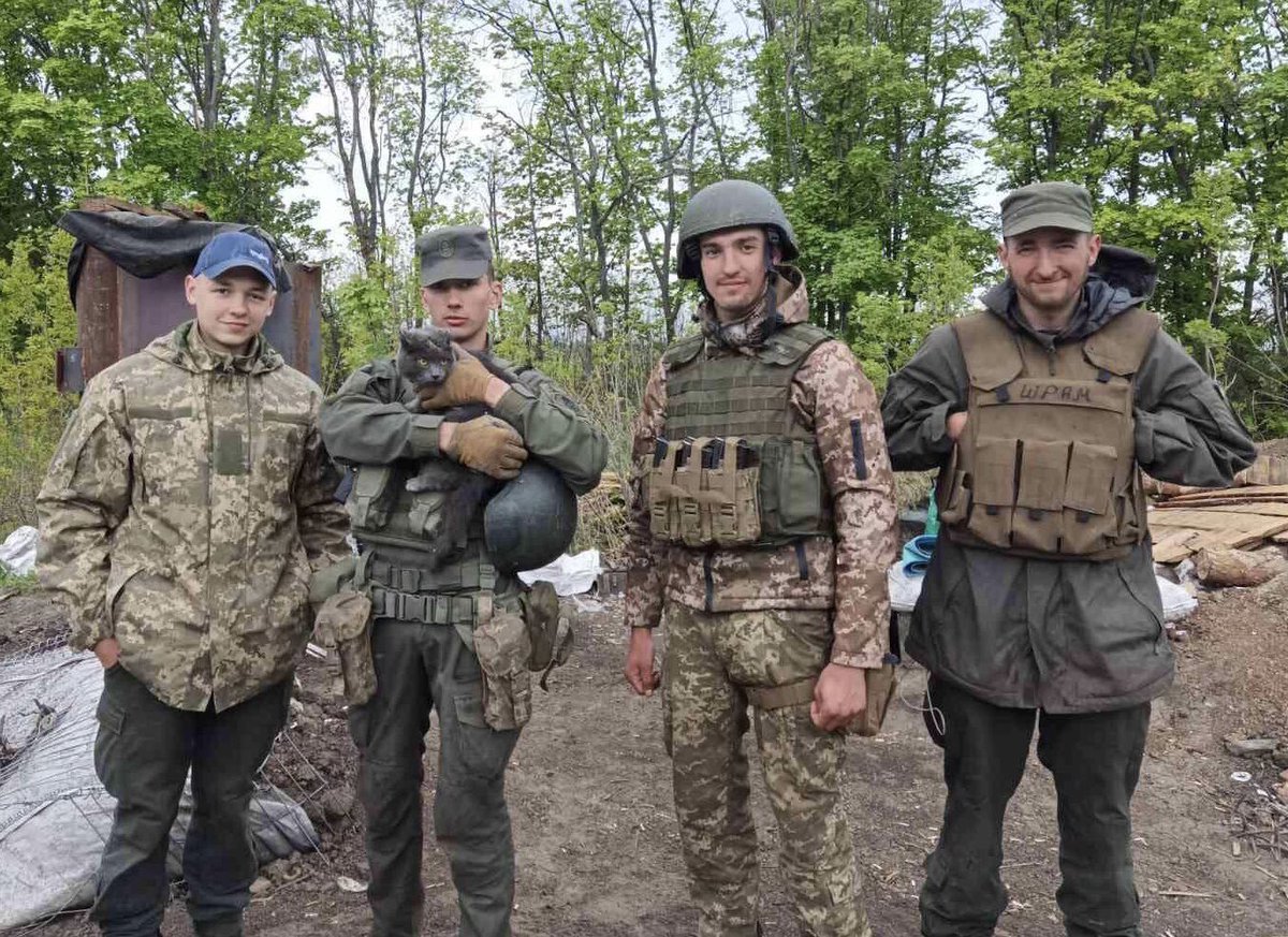 LorenzoTheCat's tweet photo. This cat wounded from shelling approached these Ukrainian soldiers for help. They took her to a clinic where she had surgery. She’s in recovery and is expected to be fine. Photo/Story: Animal Rescue Kharkiv. https://t.co/pA8tqVBlLk