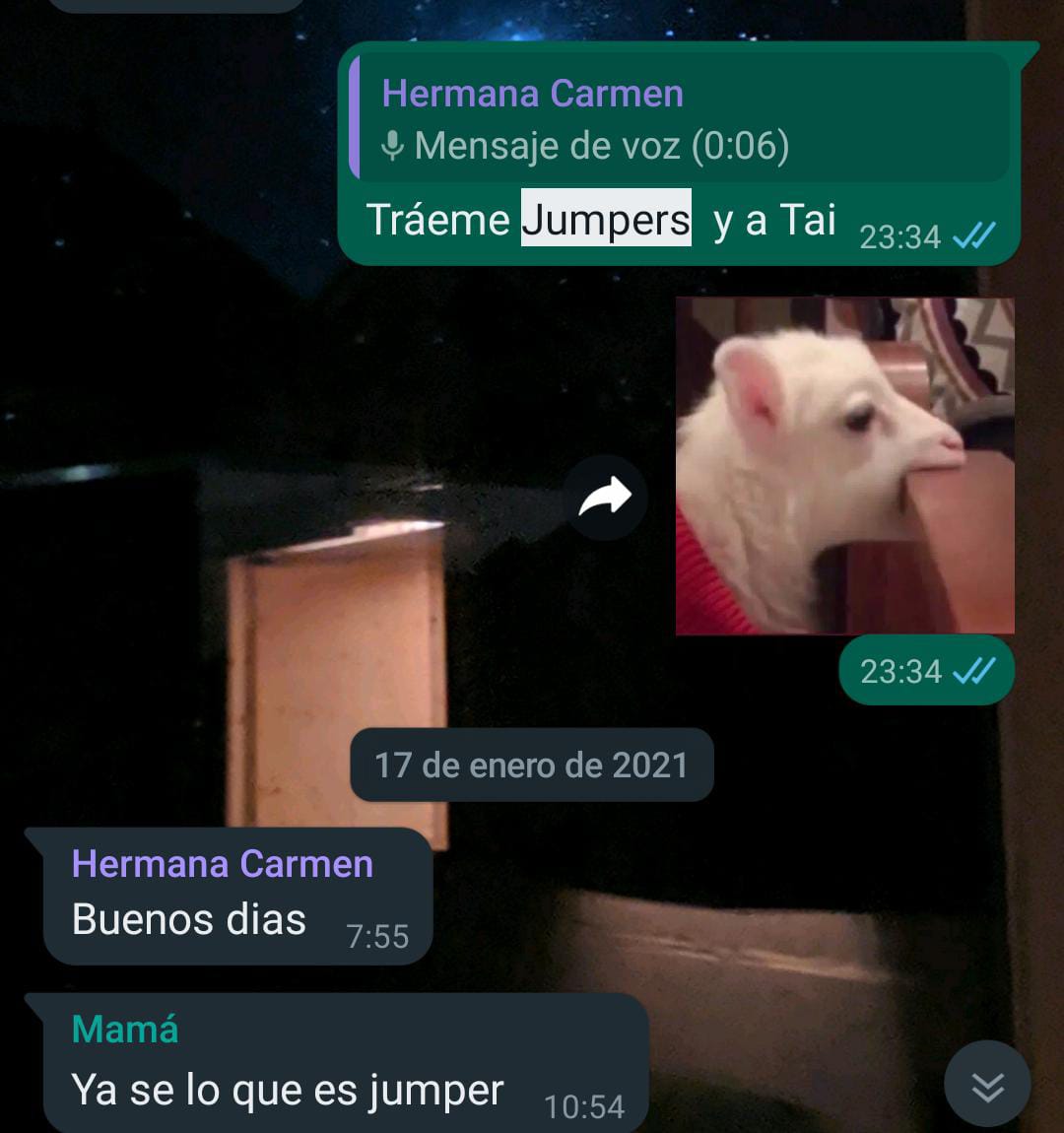 isaackia's tweet photo. Vivo en holanda desde hace 4 años y sigo pidiendo Jumpers online, cuando mis padres vienen de visita no les pido jamón, les pido jumpers. esto no es coña xD necesito esto 5 kilos of jumpers xD #JumperQuemado pruebas; https://t.co/GoSbTZRBTw