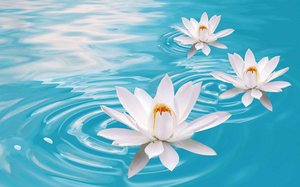 1stUUPB's tweet photo. New post (Yoga in the Sanctuary) has been published on First Unitarian Universalist Congregation of the Palm Beaches - https://t.co/2rTgfNyBtv https://t.co/OY3LGNJV4r