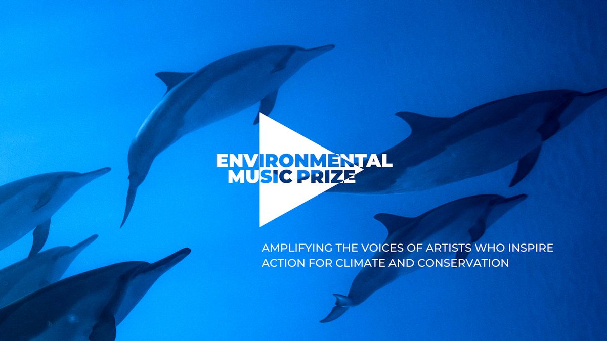 The Lindsay McDowens Board Of Peace tweet media