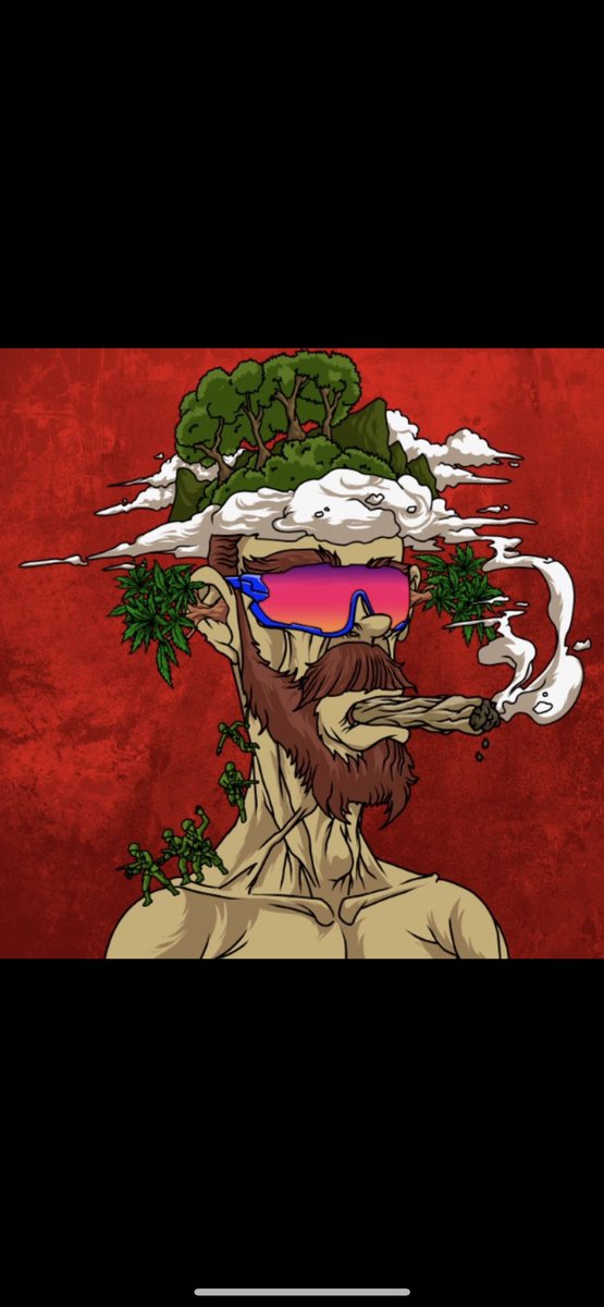 vcorsea's tweet photo. @Solana_Goddess @TaiyoRobotics @DeGodsNFT @okaybears @CetsOnCreck @ThePumasNFT @DegenApeAcademy @StonedApeCrew @BohemiaArtFair @FamousFoxFed @RemnantsNFT @smokeheadsnft you missed a crucial one sir https://t.co/mrTHY2VJZQ