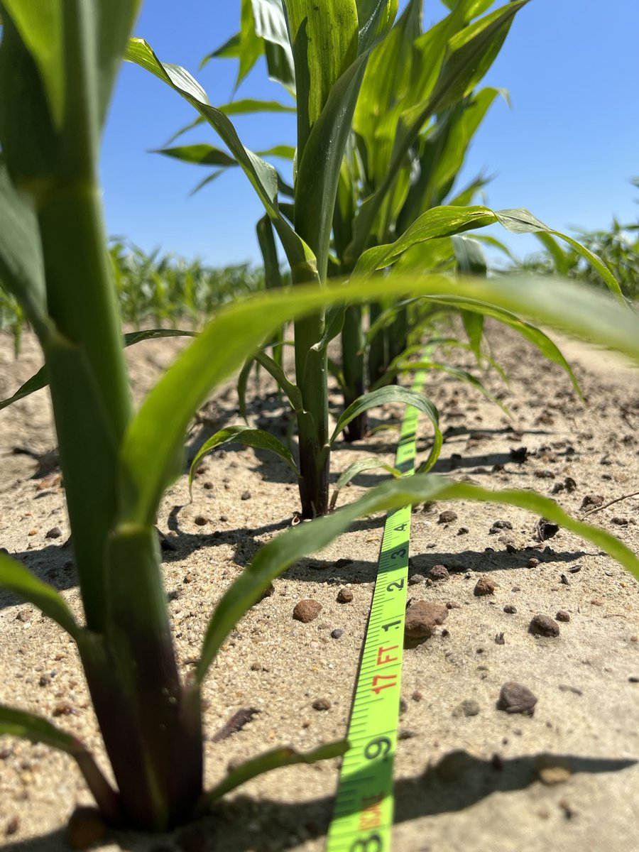 PrecAgEngineer's tweet photo. Lots of data collection #plantspacing #depth #ratetransition in the plan for this week in our #plantertech #precisionplant studies. Day 1 went pretty well!! #research22 #datacollection #agtech https://t.co/qAR3vnWbAx