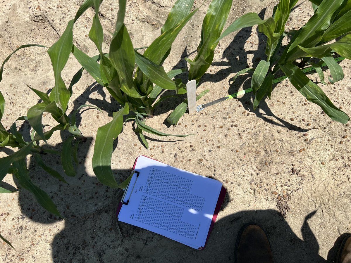 PrecAgEngineer's tweet photo. Lots of data collection #plantspacing #depth #ratetransition in the plan for this week in our #plantertech #precisionplant studies. Day 1 went pretty well!! #research22 #datacollection #agtech https://t.co/qAR3vnWbAx