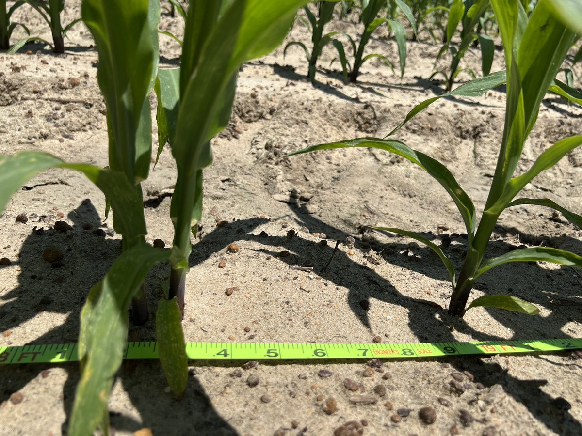 PrecAgEngineer's tweet photo. Lots of data collection #plantspacing #depth #ratetransition in the plan for this week in our #plantertech #precisionplant studies. Day 1 went pretty well!! #research22 #datacollection #agtech https://t.co/qAR3vnWbAx