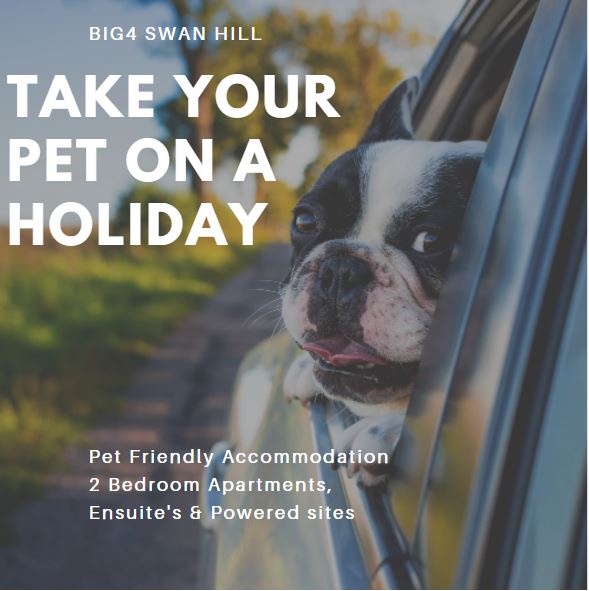 Have you taken your furry friend on a trip lately?? 
🐾🐕
big4.com.au/caravan-parks/…