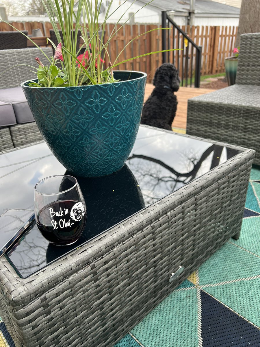dewayneskareem's tweet photo. Respite from an insanely busy day.  #goldengirls #cockerspaniels #backyards and #cabernetsavignon make for a relaxing time. #backinstolaf https://t.co/K1bRjhKw35