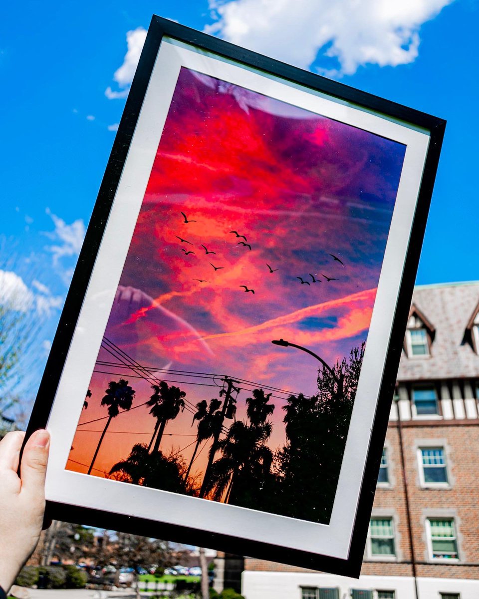 Dustin330's tweet photo. what’s going on everybody ! 

happy to finally announce that i’m selling prints on my website! this is my best collection of works and includes sports, travel, and never before seen photos that i’ve kept in the archives.

website link in bio 👀 https://t.co/zp5mSveFJH