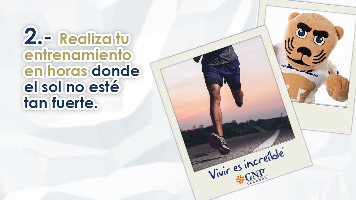 gnp_mx's tweet photo. ¡Ya llegaron los #GoyoTips 🐾! Al realizar ejercicio en tiempos de calor ☀️, recuerda que debes de proteger tu piel 🧴. #Viviresincreíble #Pumas #SoyDePumas https://t.co/YaPGyCyu8J