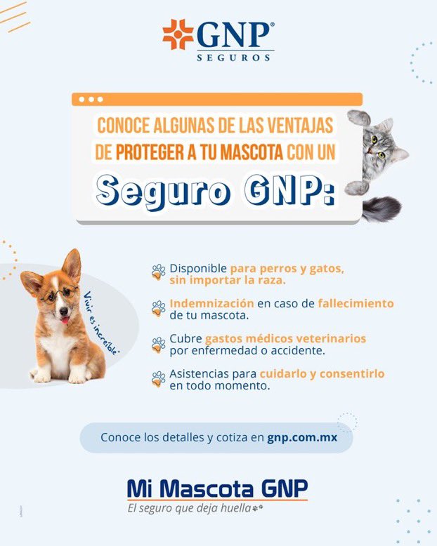 gnp_mx's tweet photo. ¿Michis o lomitos en casa? 🐱🐶 Protege a tus perros o gatos con el #Seguro Mi #Mascota #GNP y respáldate ante daños que puedan causar a un tercero, atención que requieran en caso de enfermedad o accidente y más. https://t.co/oHvDh2dv9M