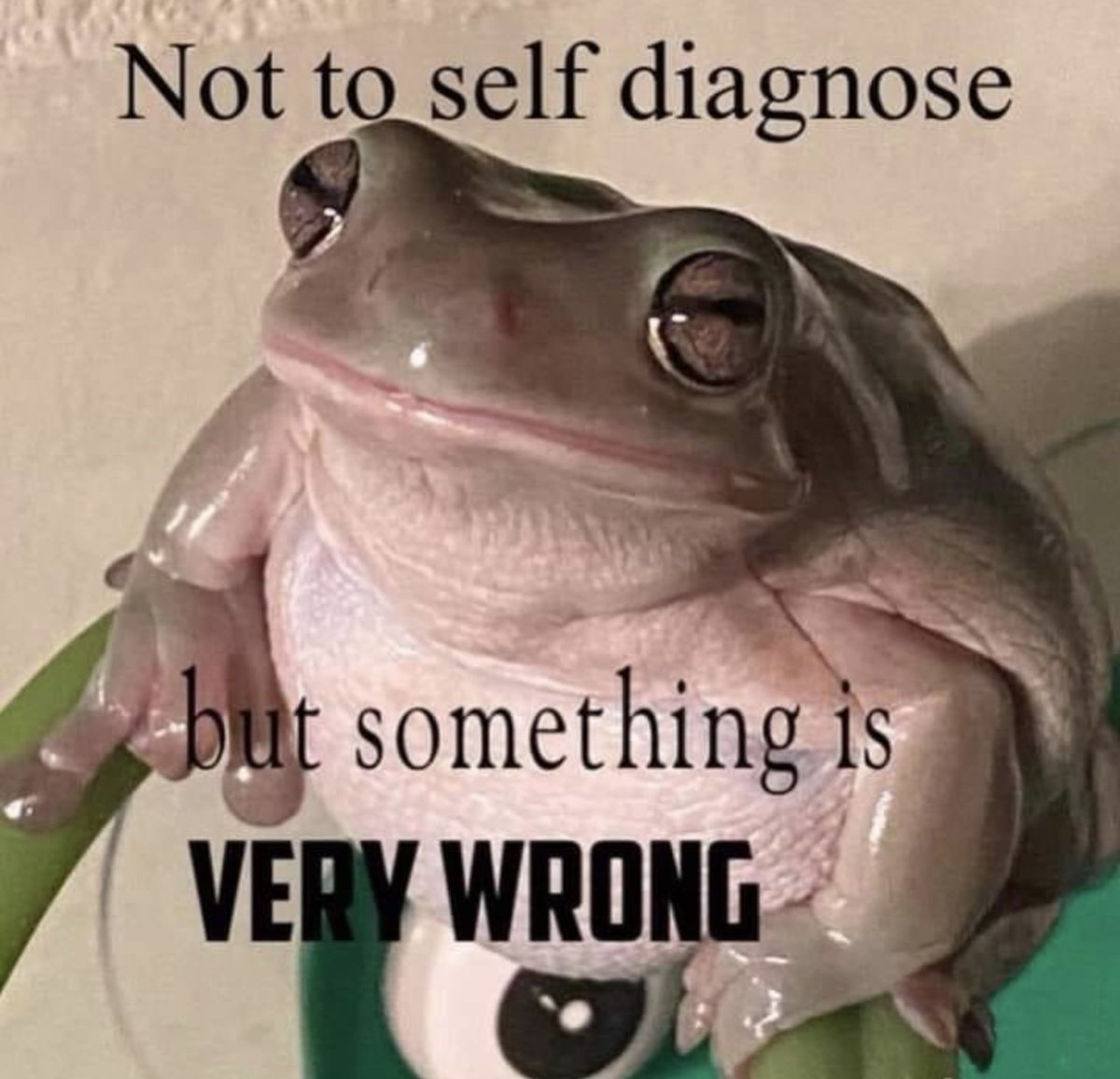 arannaOSRS's tweet image. Monday mood.