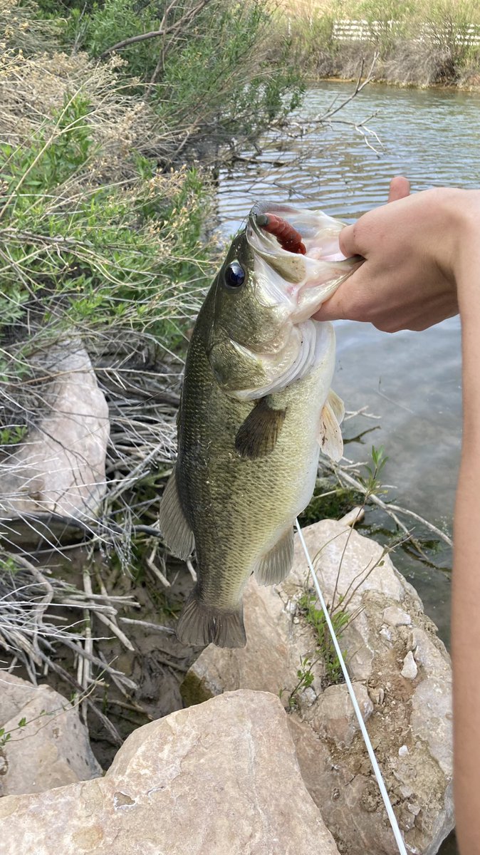 I see a happy customer! If you have ordered from me and caught fish send me a dm I’ll gladly feature!
blotterscustombaits.com
