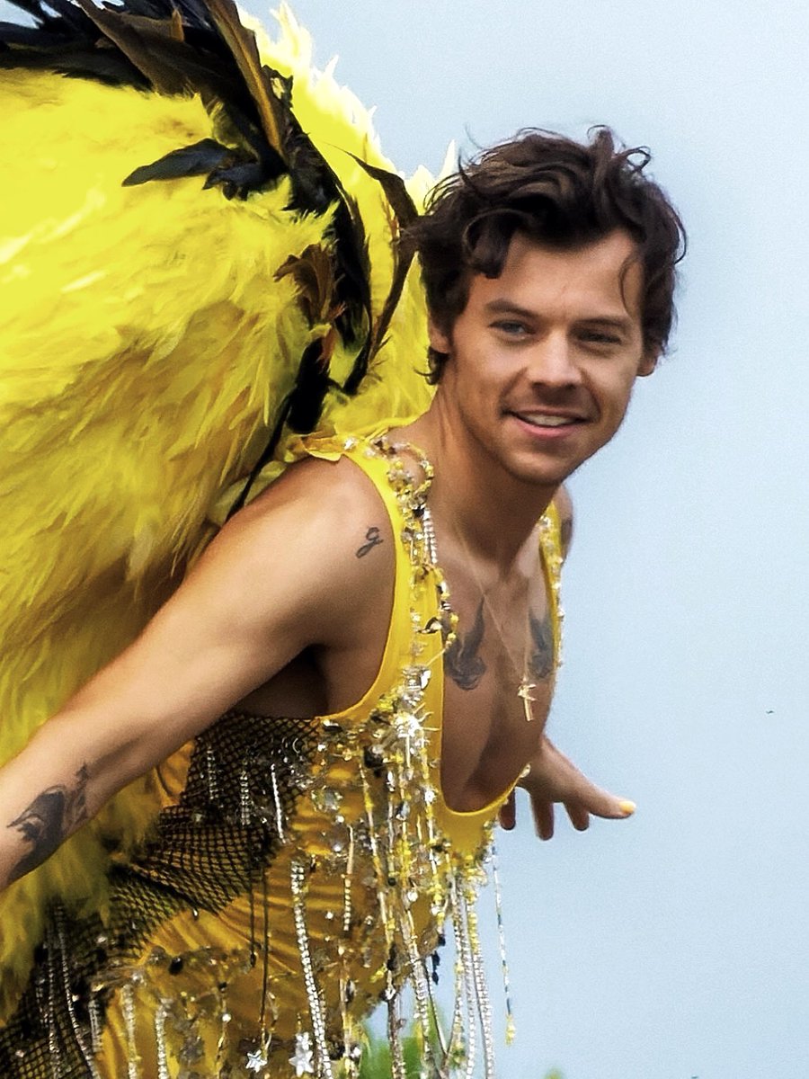 theharrylibrary's tweet photo. https://t.co/6mI3gvRtRc