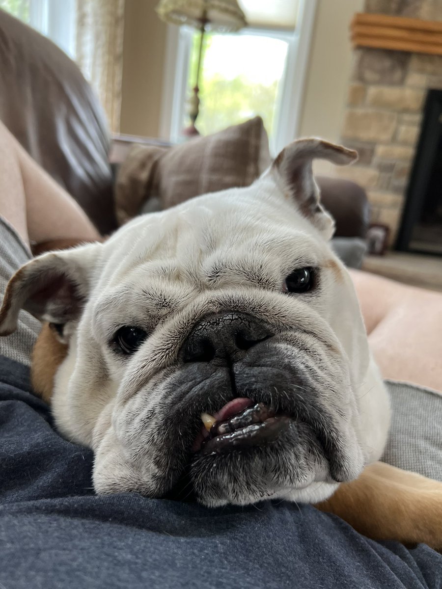 Guess what? I’m 7 today and I get ice cream 🍨