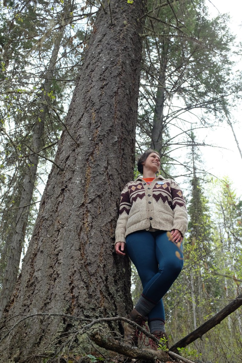 Jenn Matthews tweet media