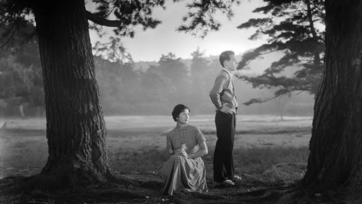 greenshinefilms's tweet photo. Luego de un tiempo, escribí un nuevo articulo para mi blog #BazarFilmico sobre 3 largometrajes dirigidos por la legendaria #kinuyotanaka.
Muchas gracias por su preferencia.
Link del articulo: https://t.co/HKWjzSH1Jf
#cine #cinejaponesclásico #directorasdecine #blogdecine https://t.co/pMHE7AZDXH