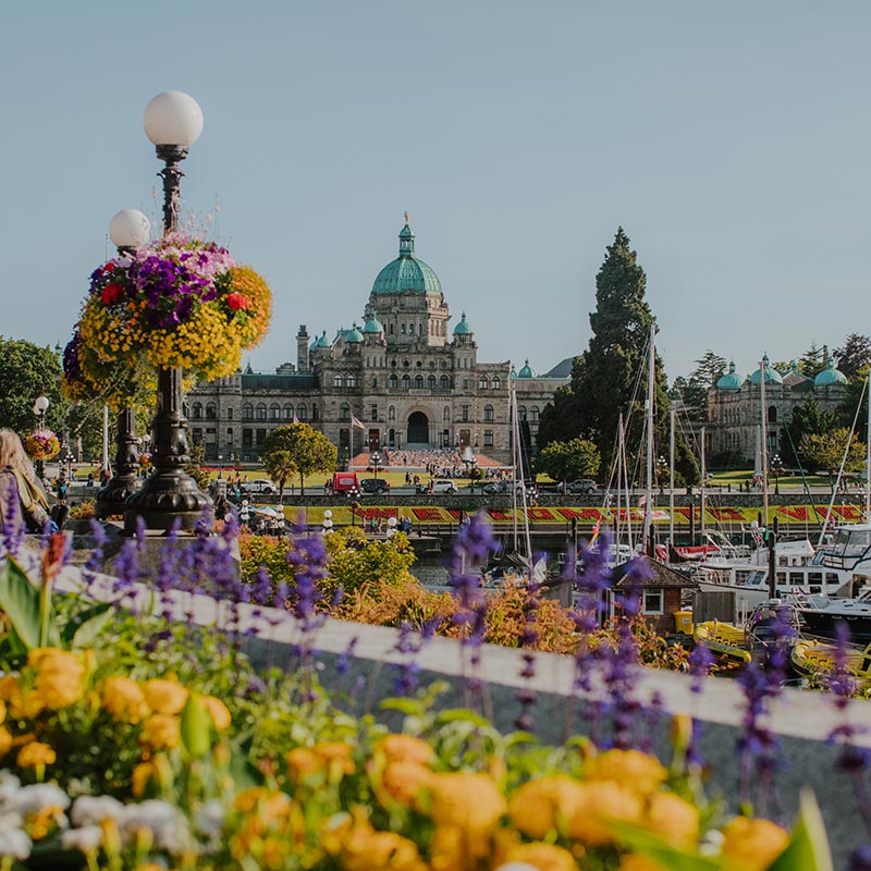 bc-ferries-reconnecting-bc-on-twitter-right-now-get-a-free-room