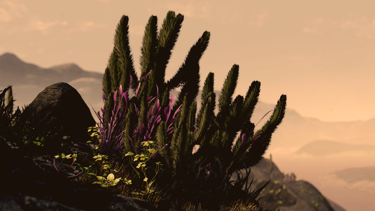 ThePinkKraken's tweet photo. #NMSMagic @BadMrRictus @marty_merrick #MondayMadness
#NMS #NoMansSky
I hope landscapes count?! https://t.co/NRC1l1taoD