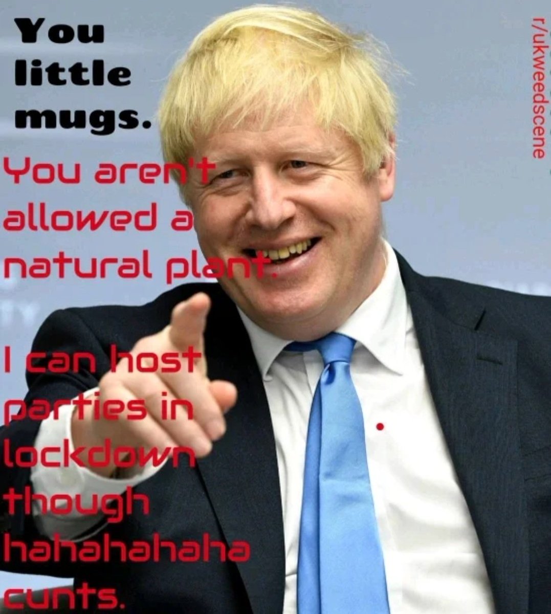 DrLewd69's tweet photo. BoJo, the law breaker himself refuses to legalise a natural fucking plant https://t.co/Tm1KYFphbF