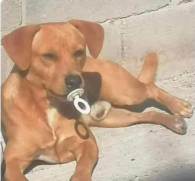 Out Of Context México (@outofcontextmex) on Twitter photo 