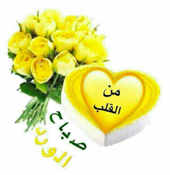 abujozeef's tweet photo. https://t.co/I3sNNYROsW