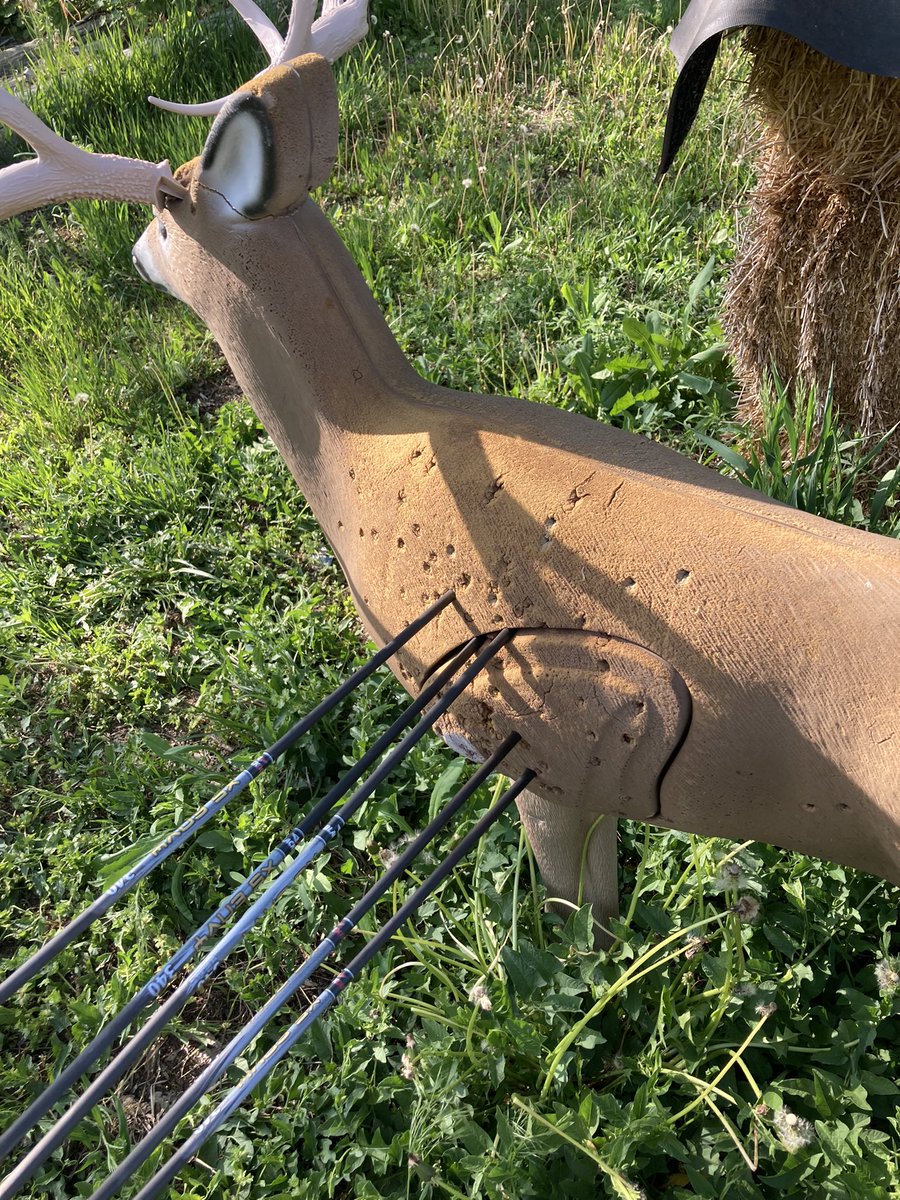 BarbarianPyro's tweet photo. #archery #practice #compoundbow Pulled out one that I shanked and it wound up in the groin but not bad it’s been a bit since I’ve shot and this was my 3rd set https://t.co/Pl7lcYeHKh